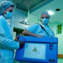 Taxa média de recusa de doação de órgãos pelos familiares é 45% -  Divulgação/Ministério da Saúde