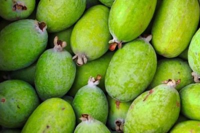 Um dos maiores produtores do mundo, a Nova Zelândia cultiva a árvore para fazer geleias, bebidas e sorvetes -  (crédito: Anastasia Yudin/Pexels)