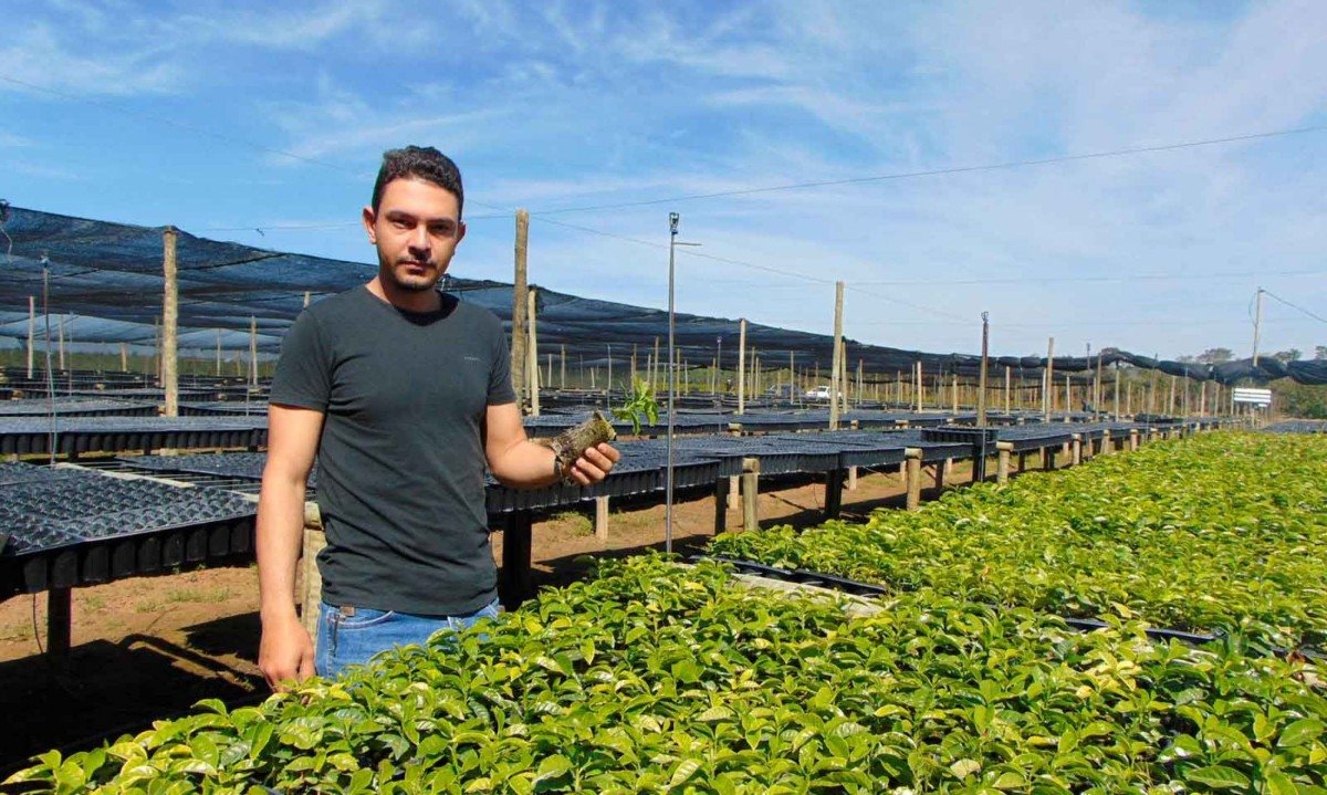 Família de Iago Aguiar adotou tecnologias das mudas até os piscinões para irrigação - (crédito: Luiz Ribeiro/EM/D.A Press)