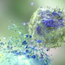 Terapia celular com dupla ação mostra potencial contra câncer no sangue -  University of Texas/MD Anderson Cancer Center