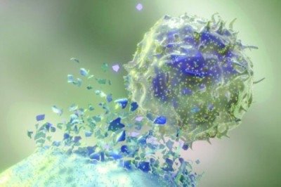Os experimentos mostraram resultados promissores em modelo animal: 'Observamos um aumento da sobrevida dos que foram tratados com essas células e um maior controle da progressão do crescimento do tumor', relata pesquisadora -  (crédito:  University of Texas/MD Anderson Cancer Center)