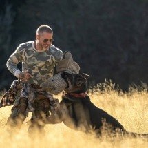 Brad Pitt fala sobre parceria com  cão Uber em 'Coração Selvagem' - Divulga&ccedil;&atilde;o