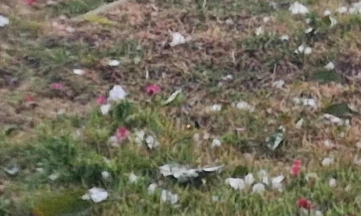 Granizo atinge Vale dos Cristais, em Nova Lima - (crédito: Sandro Barnabé/Arquivo Pessoal)