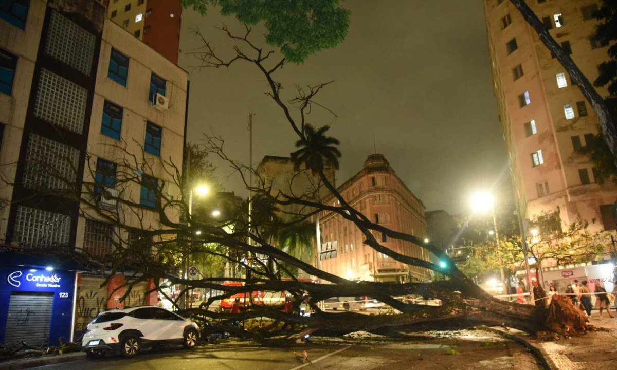 Ãrvore caiu durante o temporal deste domingo (13/9- Gladyston Rodrigues/EM/D.A. Press