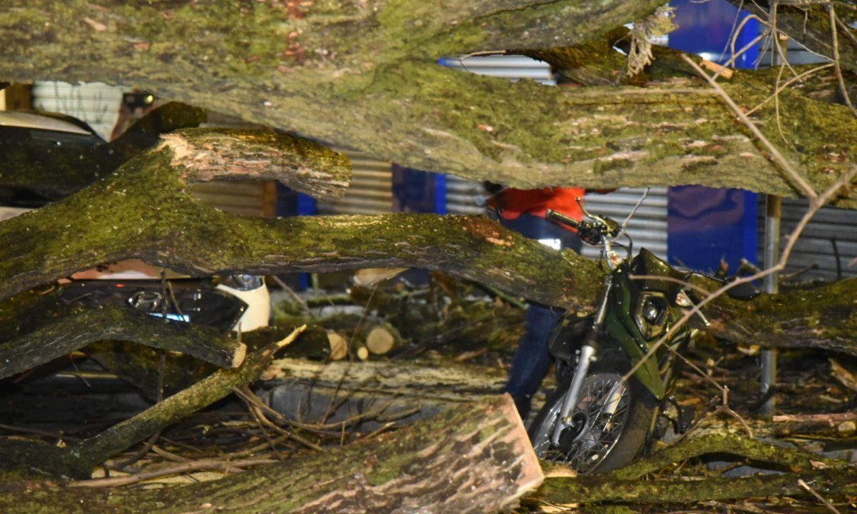 Motocicleta ficou destruída após ser atingida pela árvore - Gladyston Rodrigues/EM/D.A. Press
