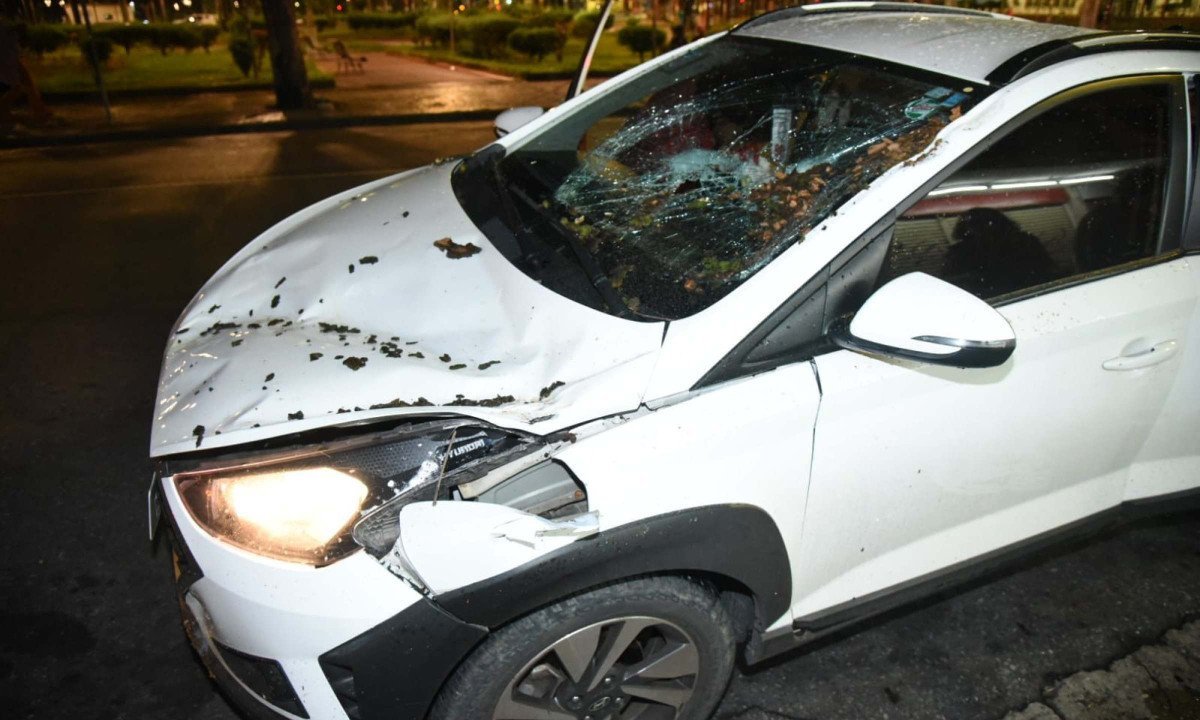 Carro ficou sob uma árvore de grande porte após a forte chuva q- Gladyston Rodrigues/EM/D.A. Press
