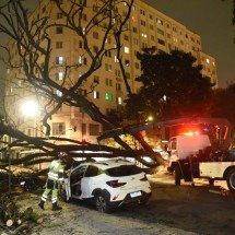 Árvore cai durante temporal e atinge carro e moto no Centro de BH -  Gladyston Rodrigues/EM/D.A. Press