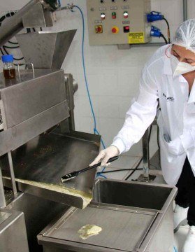 A extra&ccedil;&atilde;o do &oacute;leo a partir do gr&atilde;o do caf&eacute; verde (cru) j&aacute; &eacute; feita por meio de prensa mec&acirc;nica, sem o uso de solventes qu&iacute;micos, obtendo o produto sem impacto &agrave; sa&uacute;de humana