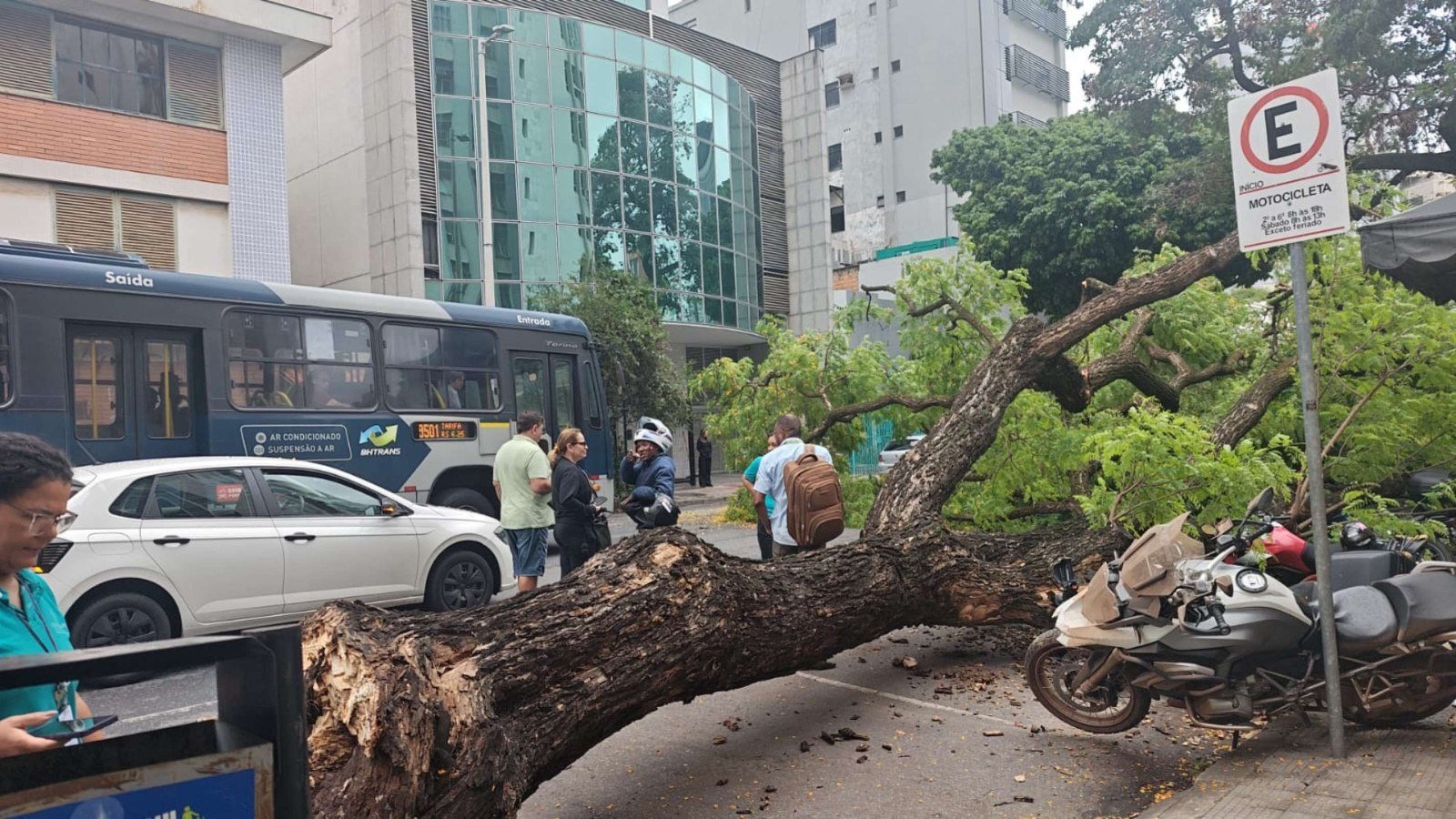 Árvore de grande porte cai sobre motocicletas no Santa Efigênia, em BH
