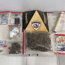 PM apreende 'maconha amnésia' de R$ 16 mil escondida em geladeira - Reprodução/PMMG