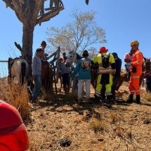 MG: idoso de 94 anos é encontrado debilitado após desaparecimento - CBMMG