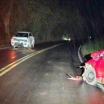 Motorista morre após tentar ultrapassagem na MG-126, na Zona da Mata - PMRv/Divulga&ccedil;&atilde;o