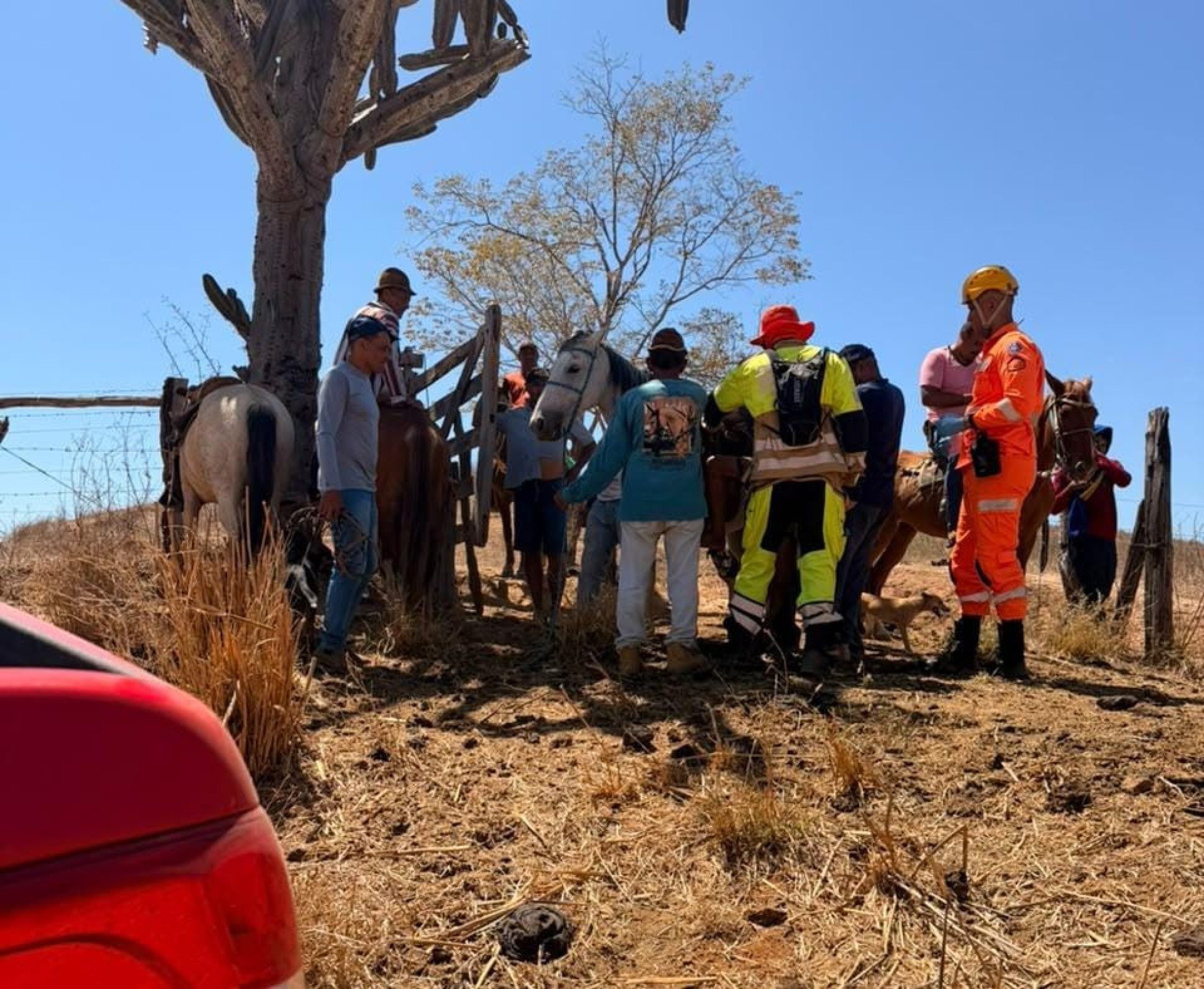 MG: idoso de 94 anos é encontrado debilitado após desaparecimento