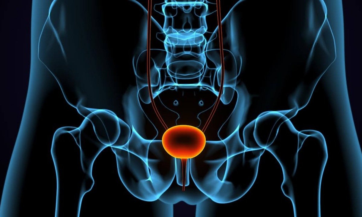 Urologista explica diferenças entre HPB e câncer de próstata - (crédito: DINO)