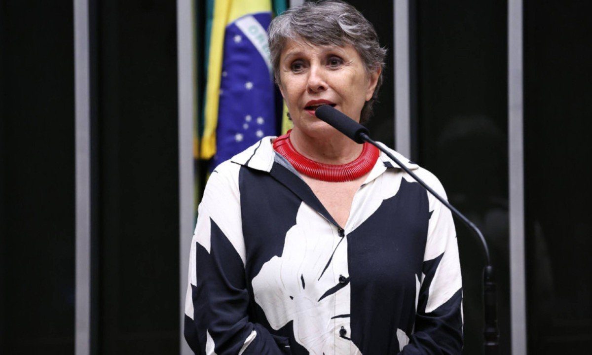 O Senado que Erika Kokay espera encontrar em 2027 - (crédito: Foto: Kayo Magalhães / Câmara dos Deputados)