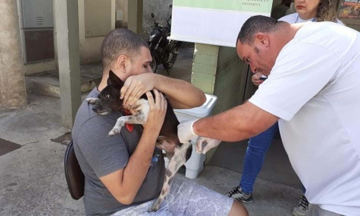 Podem receber a vacina cães e gatos a partir dos três meses de idade, inclusive fêmeas gestantes - (crédito: Leila Porto)