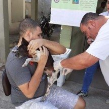 BH amplia vacinação de animais contra raiva nesta semana - Leila Porto
