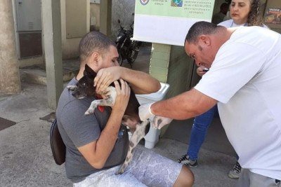 Podem receber a vacina cães e gatos a partir dos três meses de idade, inclusive fêmeas gestantes -  (crédito: Leila Porto)