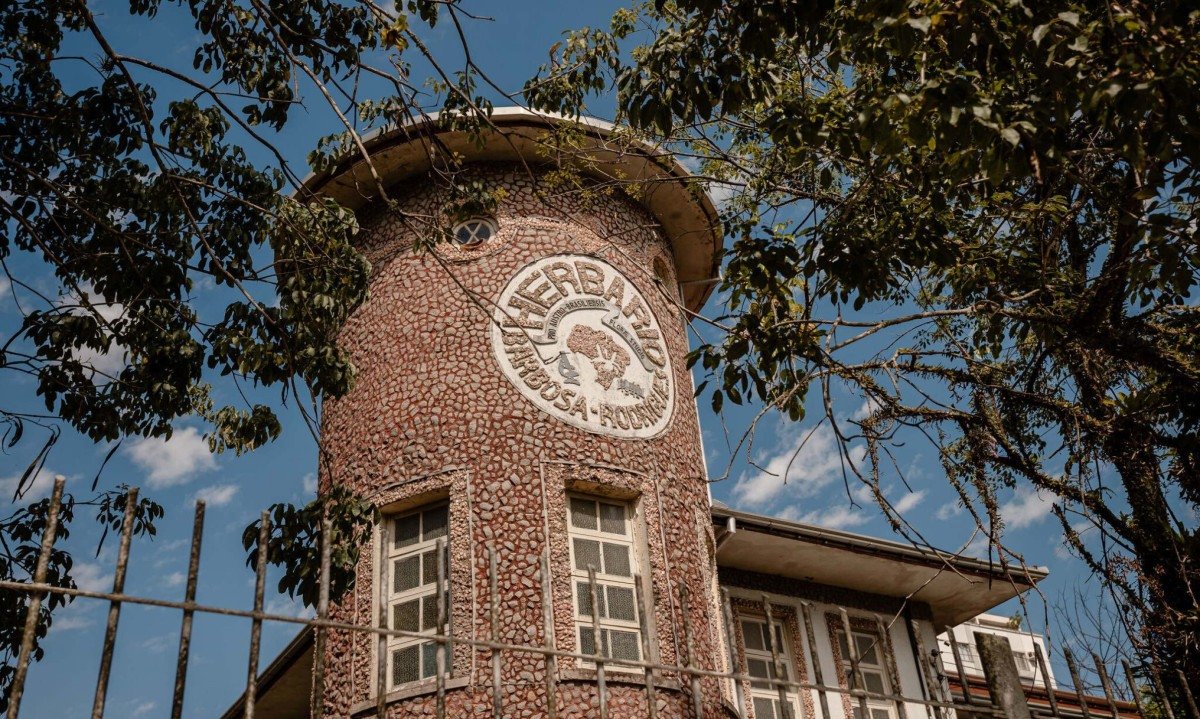Pesquisa em herbário de SC descobre seis espécies de plantas - (crédito: DINO)