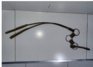 Chicote para manejo de cavalos foi usado pelo agressor contra o próprio pai, que teve a mão ferida durante a discussão -  (crédito: PMMG/Divulgação)
