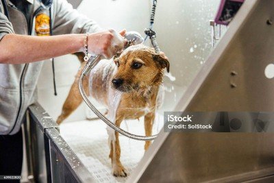 xxxxxxxxxxxxx     -  (crédito:  Getty Images/iStockphoto)