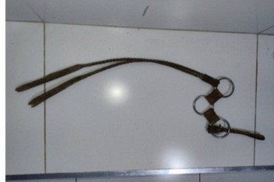 Chicote para manejo de cavalos foi usado pelo agressor contra o próprio pai, que teve a mão ferida durante a discussão -  (crédito: PMMG/Divulgação)