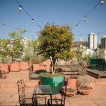 Os particulares jardins suspensos de BH