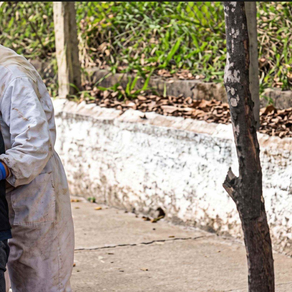 73-Year-Old Man Survives 200 Bee Stings in Minas Gerais, Brazil - News Directory 3