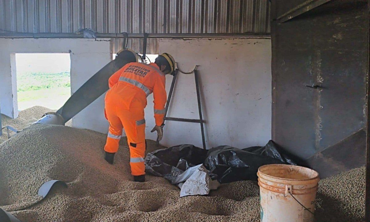 O Corpo de Bombeiros foi acionado para a ocorrência e encontrou o trabalhador já sem vida, soterrado pelos grãos de café - (crédito: CBMMG/Divulgação)