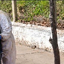 Idoso de 73 anos sobrevive a mais de 200 ferroadas de abelhas em Minas - CBMMG