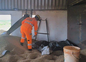O Corpo de Bombeiros foi acionado para a ocorrência e encontrou o trabalhador já sem vida, soterrado pelos grãos de café - (crédito: CBMMG/Divulgação) O Corpo de Bombeiros foi acionado para a ocorrência e encontrou o trabalhador já sem vida, soterrado pelos grãos de café - (crédito: CBMMG/Divulgação)