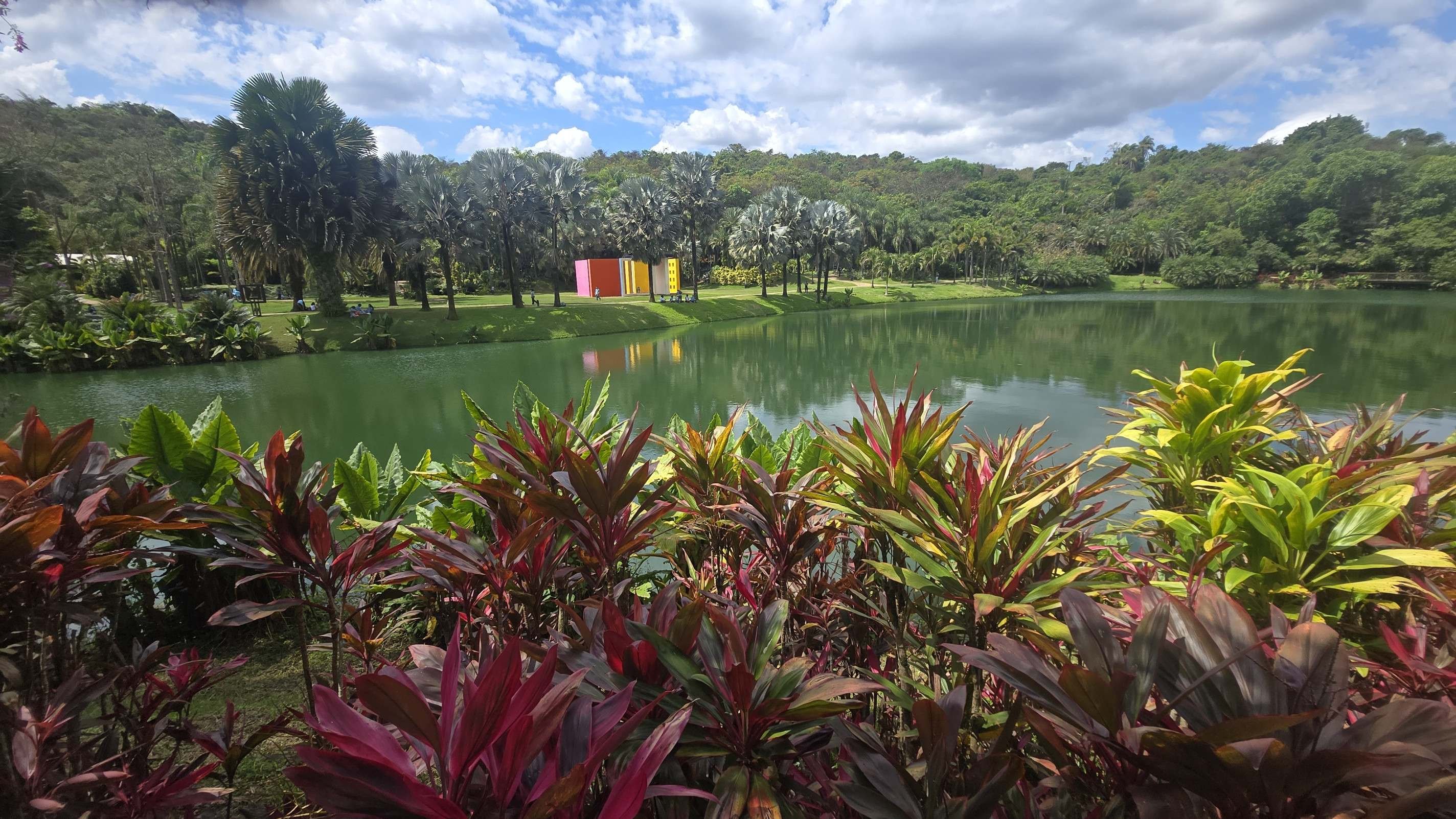 Instituto Inhotim, em Brumadinho (MG), é o maior museu a céu aberto da América Latina, em 2026 completa 20 anos de abertura ao público-Carlos Altman/EM
