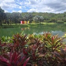 Inhotim em dois dias: guia do maior museu a céu aberto da América Latina  - Carlos Altman/EM