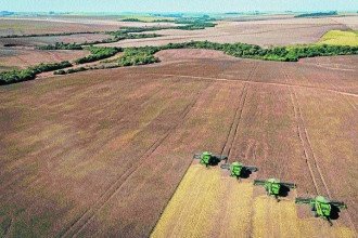 Projeção aponta expansão de 2,6% na safra brasileira de grãos