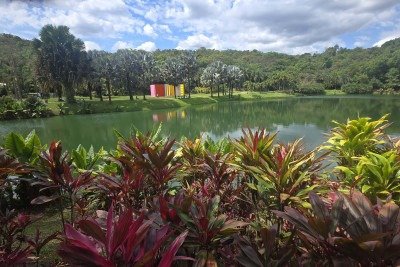 Instituto Inhotim, em Brumadinho (MG), &eacute; o maior museu a c&eacute;u aberto da Am&eacute;rica Latina, em 2026 completa 20 anos de abertura ao p&uacute;blico -  (crédito: Carlos Altman/EM)