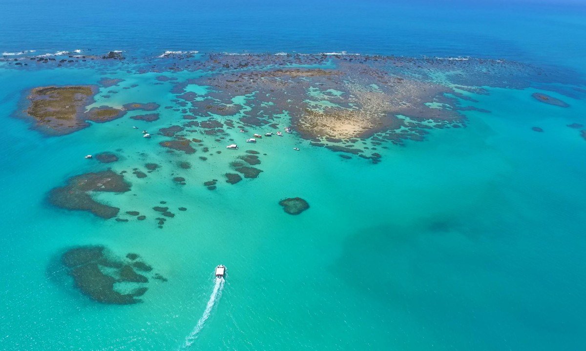 Maragogi, no litoral Norte de Alagoas, é um paraíso de piscinas naturais com um intenso azul do mar - (crédito: Pousada Camurim Grande/Divulgação)