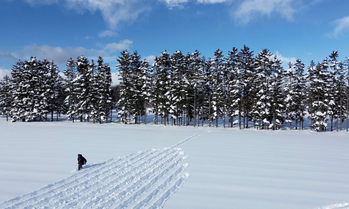 Land Art: artistas transformam natureza em telas - (crédito: DINO)