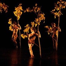 Momix traz  ao Brasil o espetáculo "Botanica" - dell&rsquo;arte/divulga&ccedil;&atilde;o