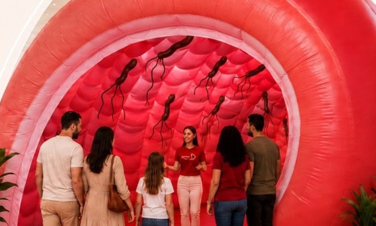 Visitantes exploram a estrutura inflável que simula o estômago humano em evento interativo sobre saúde digestiva - (crédito: Divulgação / AMG )