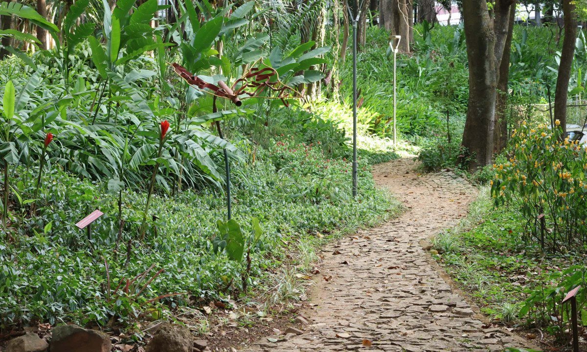 Entre os parques que receberão trilhas e outras atividades estão o Parque Municipal Fazenda Lagoa do Nado, o Parque Roberto Burle Marx (Parque das Águas), Parque Ursulina de Andrade Melo e o Parque Municipal Américo Renné Giannetti.
- (crédito: Marcos Vieira /EM/DA. Press )
