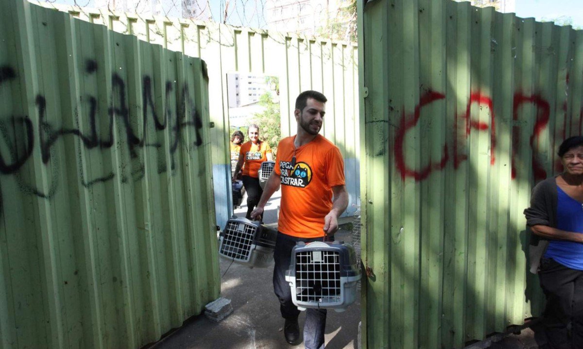 Ong Pega Pra Castrar inicia força-tarefa para capturar 45 gatos que vivem em terreno baldio no Barro Preto - (crédito: Edésio Ferreira/EM/D.A Press)