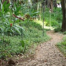 Aniversário de parques de BH terão trilhas guiadas; veja como se inscrever -  Marcos Vieira /EM/DA. Press 