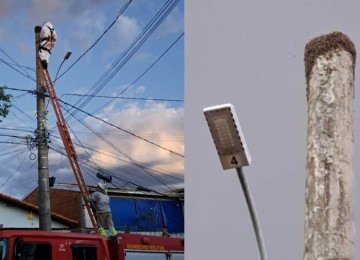 Idoso sofre parada cardiorrespiratÃ³ria apÃ³s ser atacado por enxame de abelhas em Montes Claros, no Norte de Minas -  (crédito: DivulgaÃ§Ã£o/CBMMG)