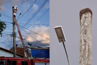 Idoso sofre parada cardiorrespiratÃ³ria apÃ³s ser atacado por enxame de abelhas em Montes Claros, no Norte de Minas -  (crédito: DivulgaÃ§Ã£o/CBMMG)