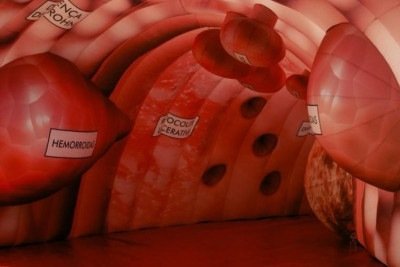 A instalação cenográfica permitirá que o público conheça aspectos relacionados ao funcionamento do órgão -  (crédito: Instagram/Reprodução)