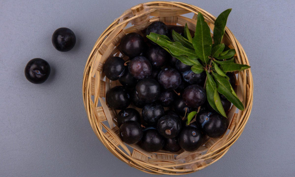 É possível utilizar usar a jabuticaba com casca em em vitaminas, geleias e sobremesas - (crédito: stockking/magnific)