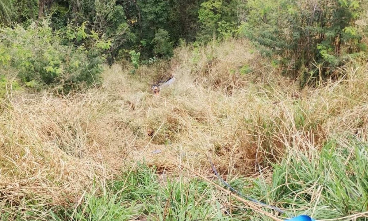 Veículo capotou e despencou pelo barranco - (crédito: CBMMG)