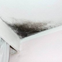 Goteiras deixam mofo invisível em casa e pneumologistas alertam para risco de crises respiratórias graves em crianças e idosos - Tupi