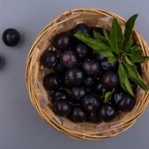 Pele jovem na primavera: não jogue fora a casca de jabuticaba - stockking/magnific