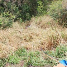 Carro capota e despenca de ribanceira na BR-381 em cidade da Grande BH - CBMMG
